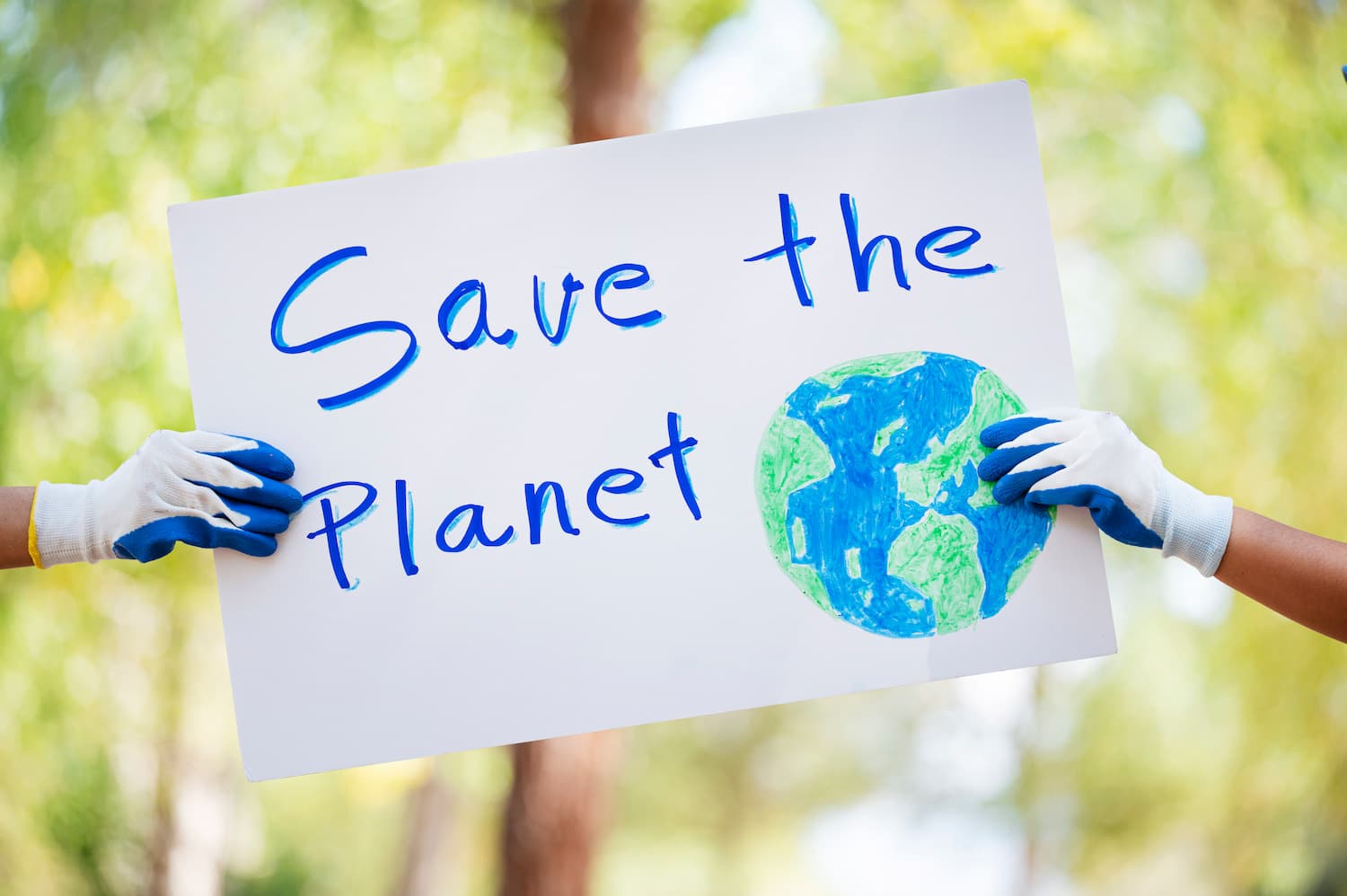 Scopri le esperienze internazionali